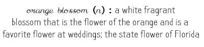 definition of orange blossom