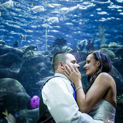 Florida-Aquarium-Wedding---LoveStorey
