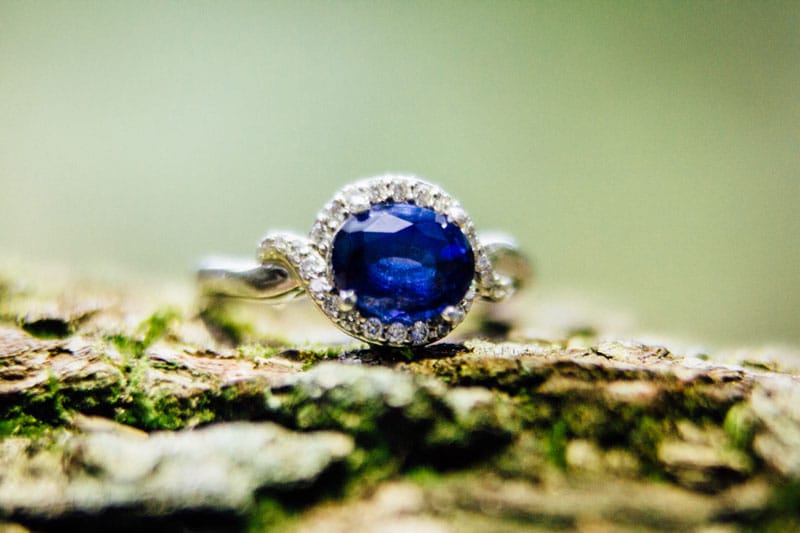 sapphire engagement ring on a tree trunk