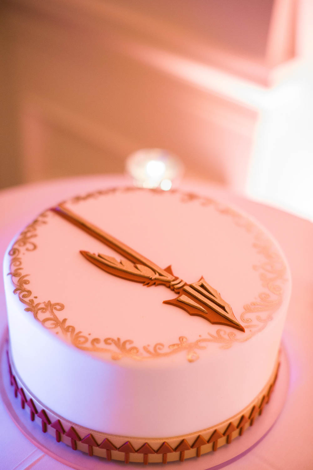 Florida State Universiry wedding cake