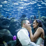 Love-Storey-Photography-Florida-Aquarium22-