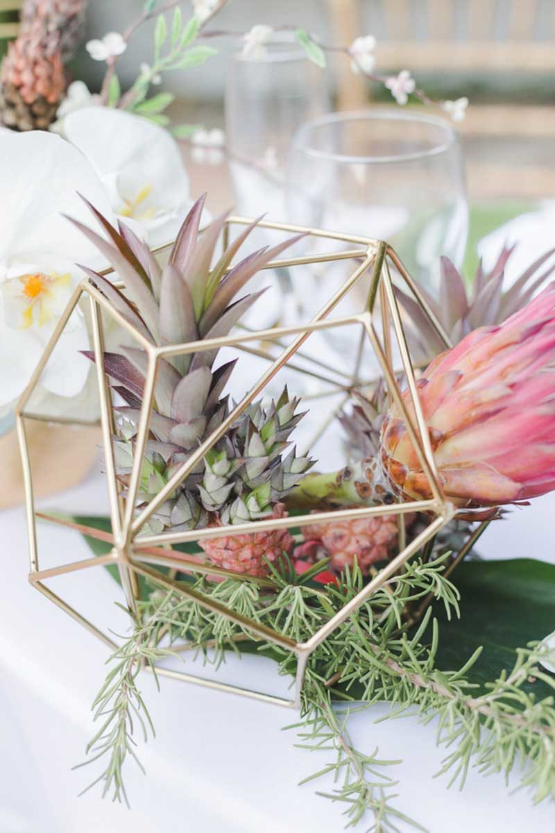 8nassimbeni-photography-tropical-modern-22