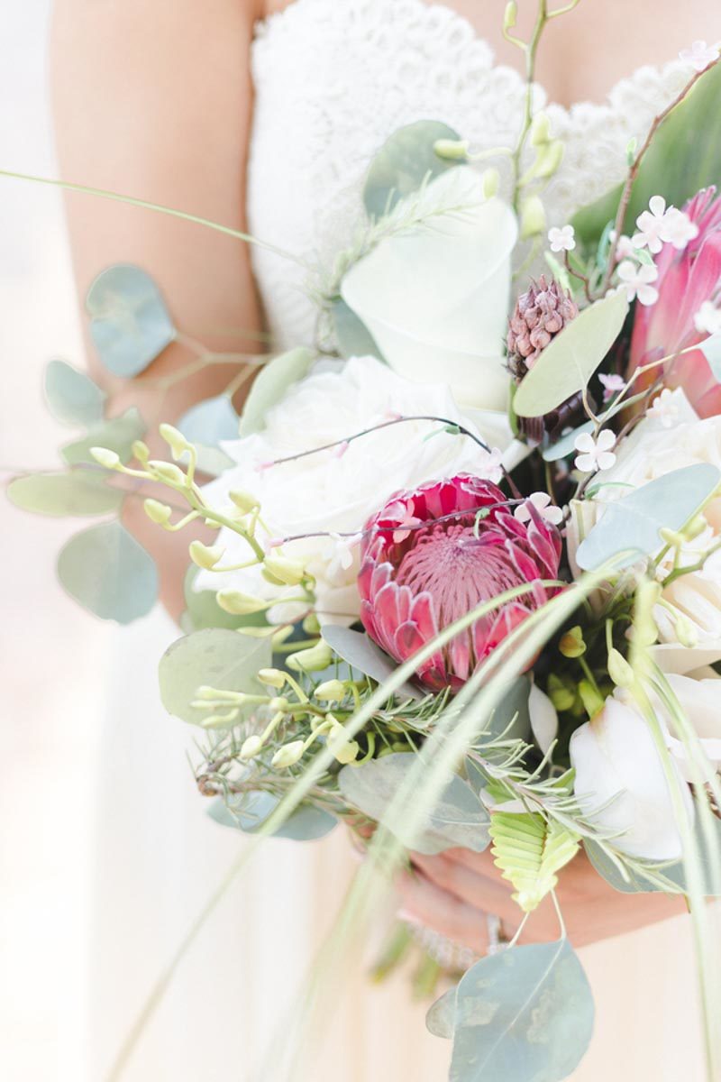 nassimbeni-photography-tropical-modern-11