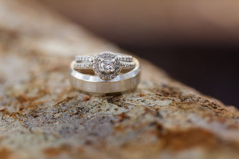 round halo engagement ring on tree bark
