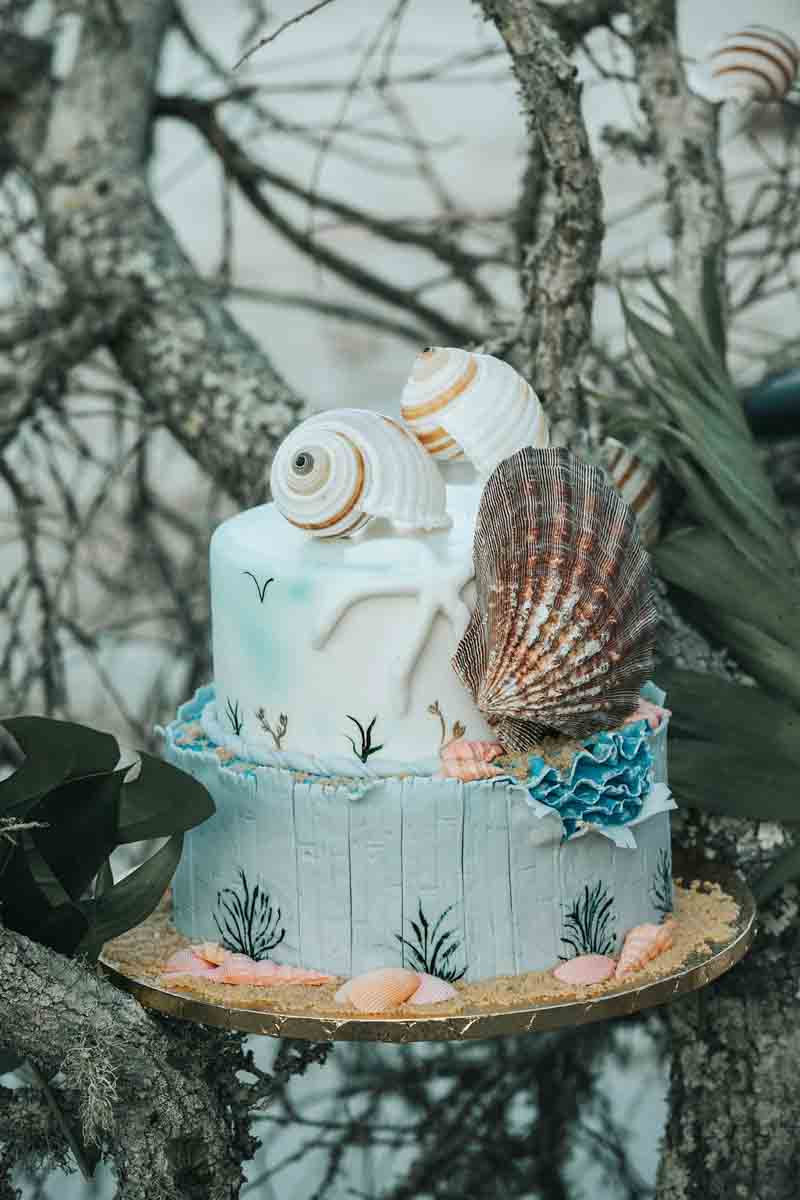 two tier beach inspired wedding cake on driftwood