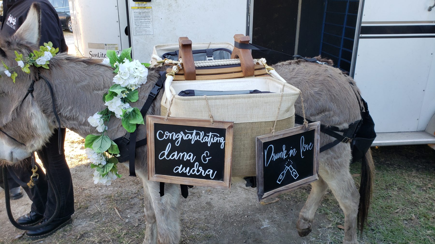 Beer burro with greenery for a wedding 